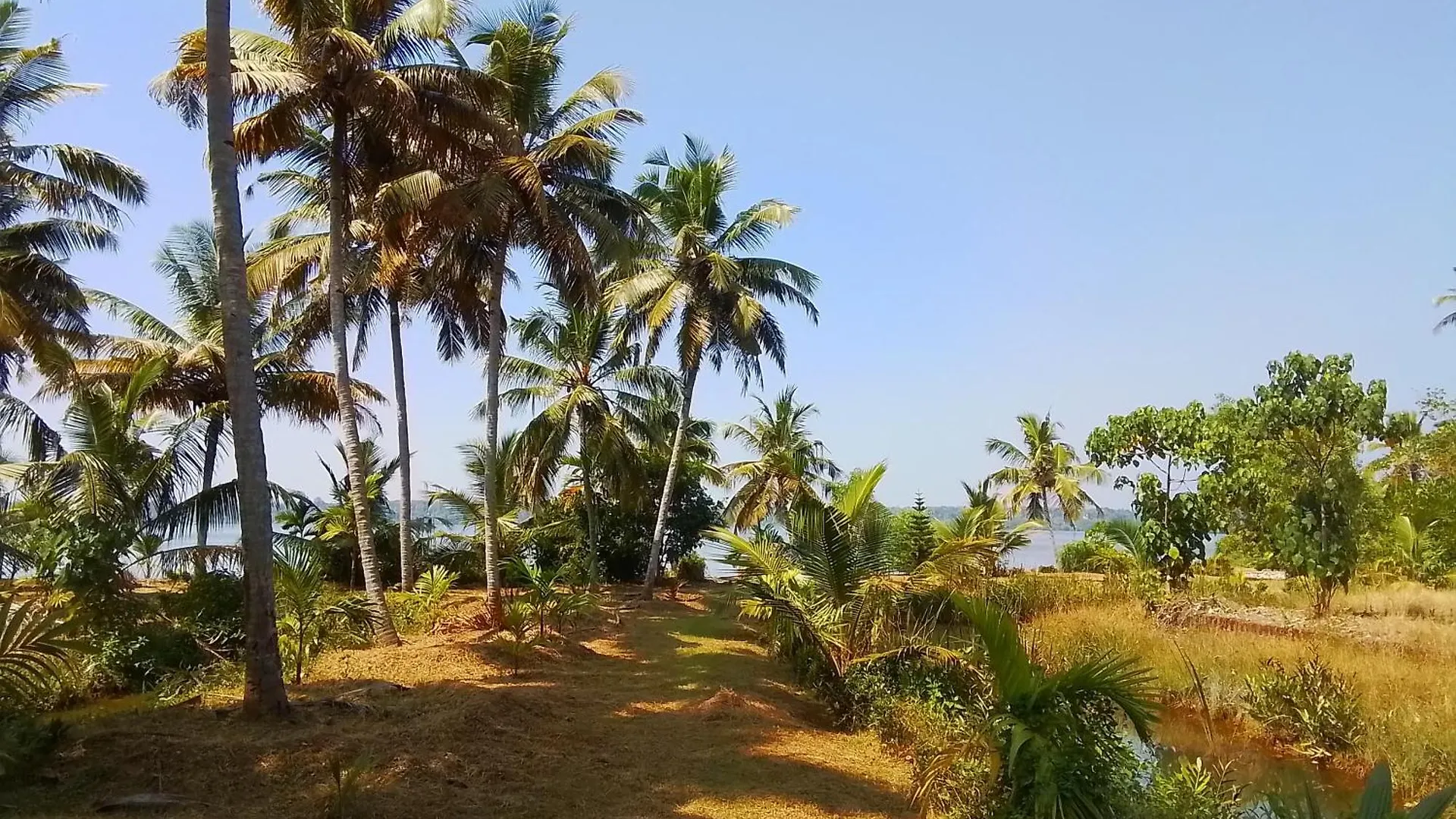 Jc Island Resort Munroe Kollam